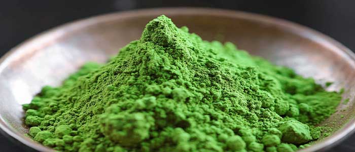 Was ist Matcha-Tee?